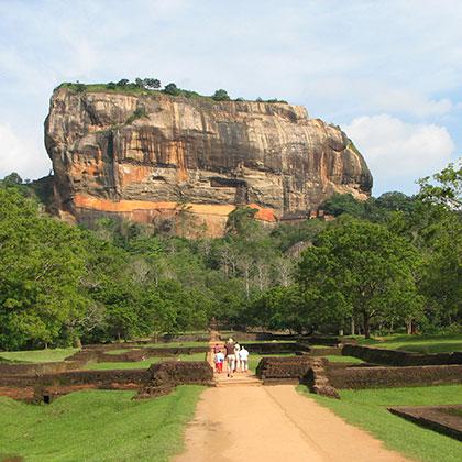Jungle Tourism in Sri lanka | Mini tour