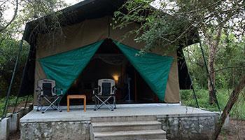 jungle camping in sri lanka